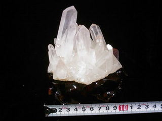 クラスターS6_442g_5000.jpg