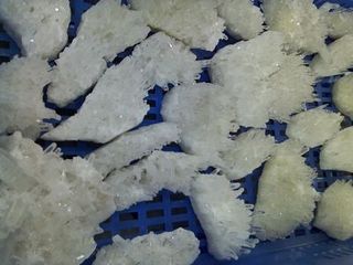 IMG_20120118_111435.jpg